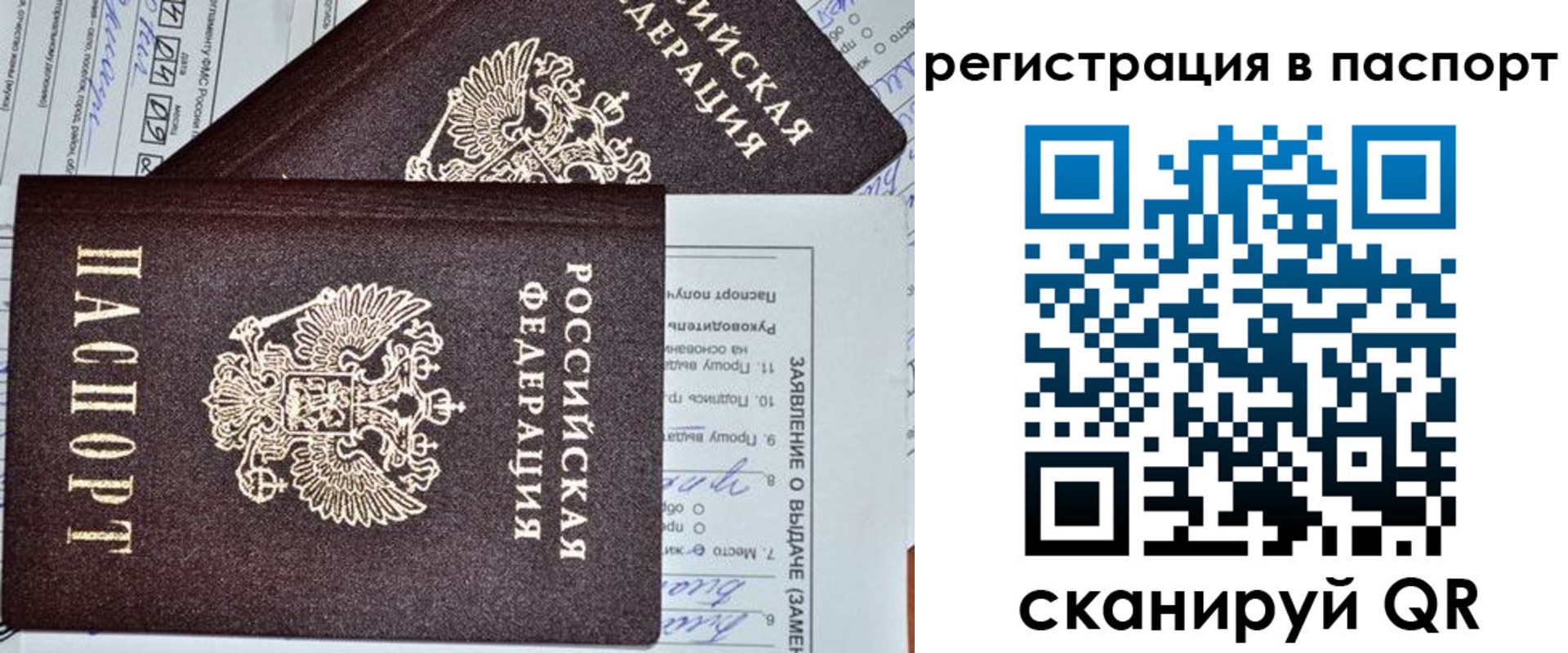 прописка законно в Дубовке